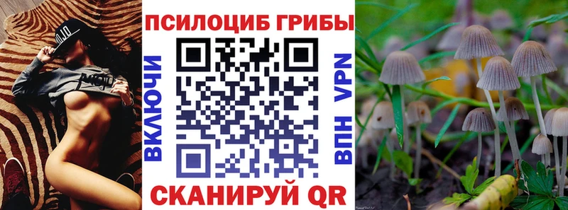mega как зайти  Янаул  Псилоцибиновые грибы MAGIC MUSHROOMS 