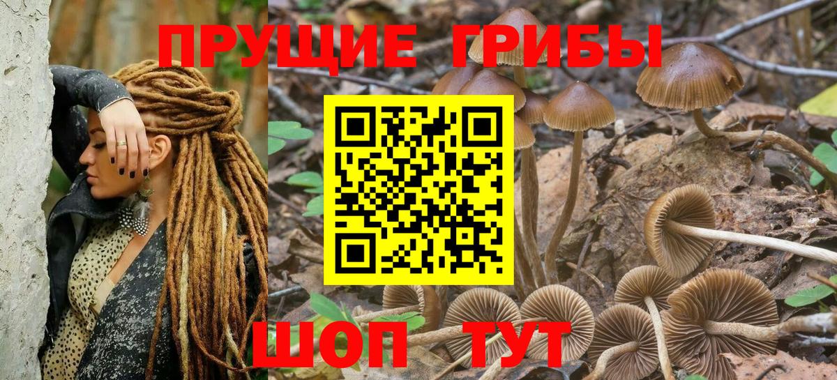 Псилоцибиновые грибы Psilocybe  Псилоцибиновые грибы Psilocybe  Вход с VPN  Янаул 